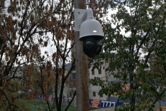 sdr